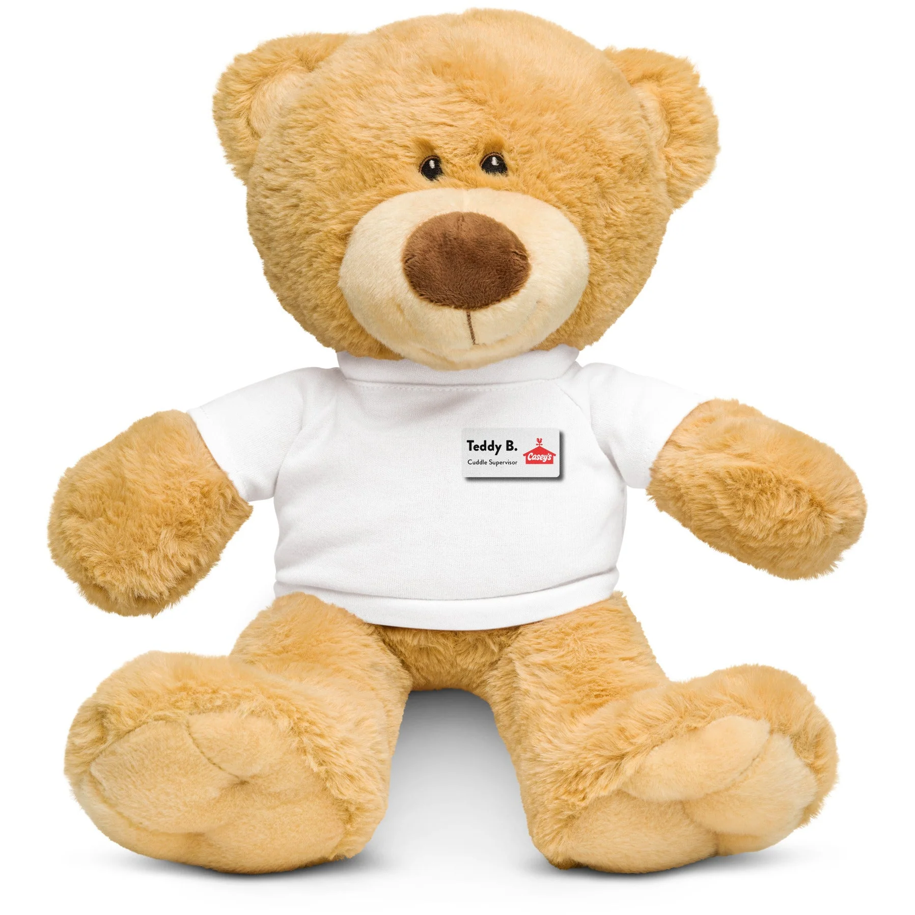 Teddy bear with a t-shirt
